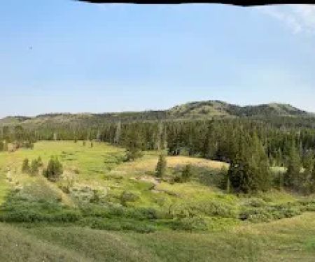 Mist Creek Meadows 3T2