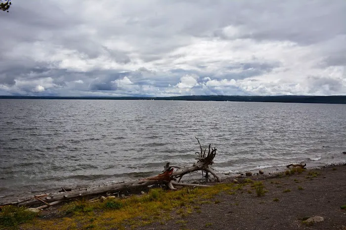 Midshore Picture 1