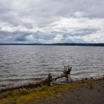 Midshore