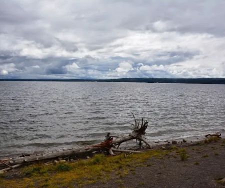 Midshore