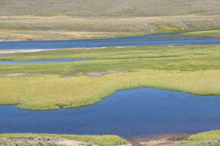 Snake River Picture 2