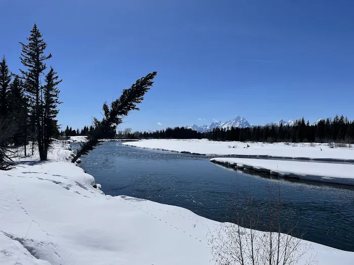 Snake River Picture 4