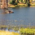 Monument Camp