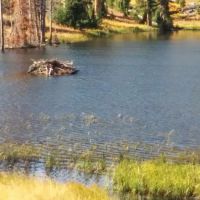 Monument Camp ico