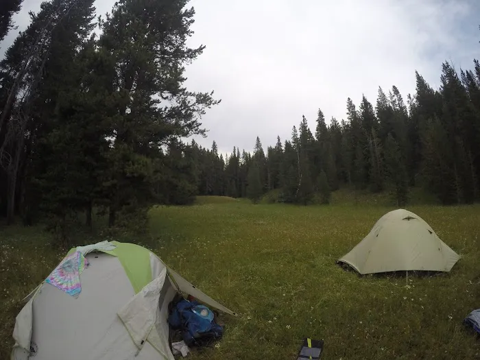 Beaverdam Meadow Picture 6