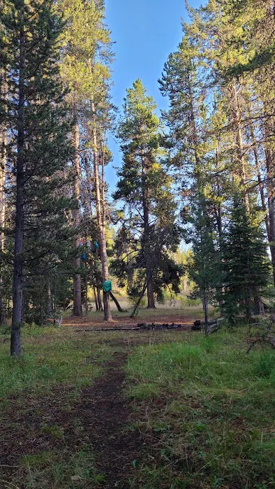 Beaverdam Meadow Picture 1