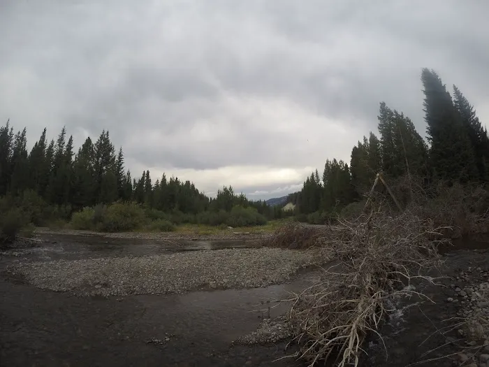 Beaverdam Meadow Picture 3