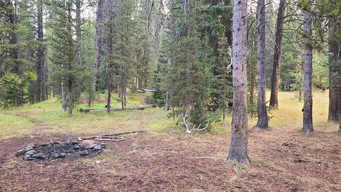 Beaverdam Meadow Picture 2