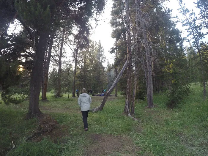 Beaverdam Meadow Picture 8