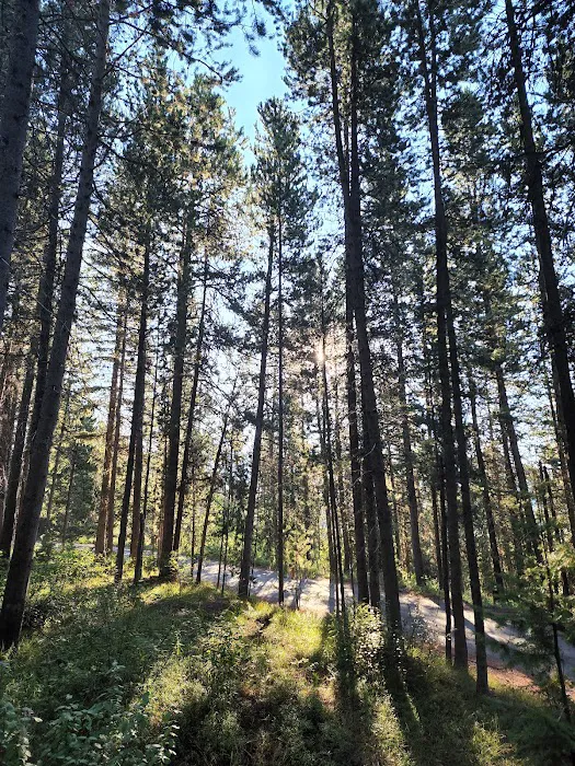 Lizard Creek Campground Picture 6