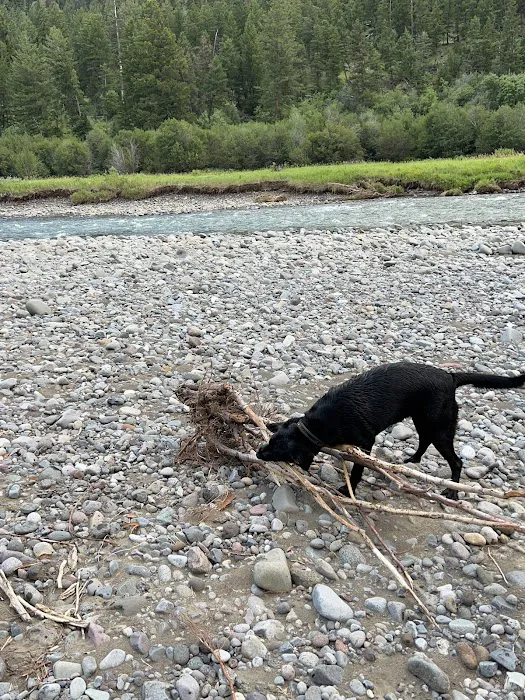 Newton Creek Campground Picture 3