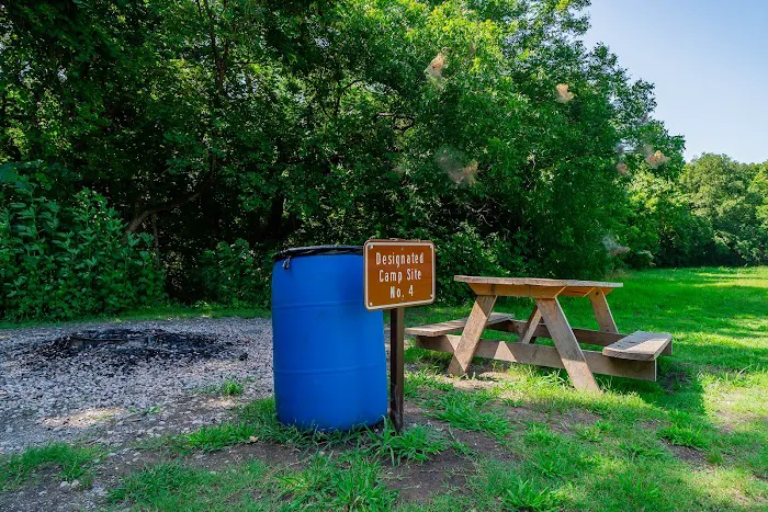Erwin Park Campsite #4 Picture 1