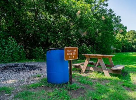 Erwin Park Campsite #4