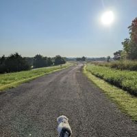 Erwin Park Campsite #9 ico