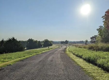 Erwin Park Campsite #9