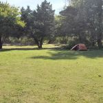 Erwin Park Campsite # 11