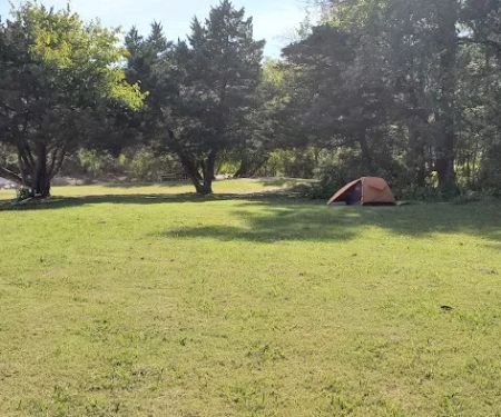 Erwin Park Campsite # 11