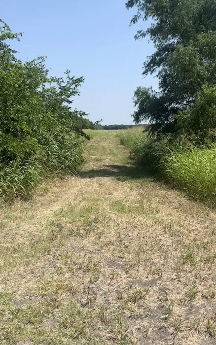 Camp Elements Picture 3