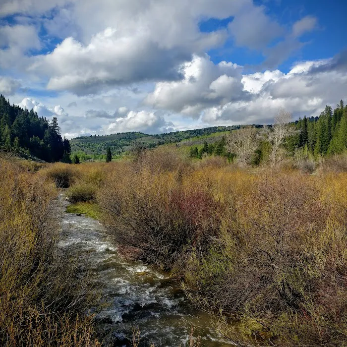 Mike Harris Campground Picture 6