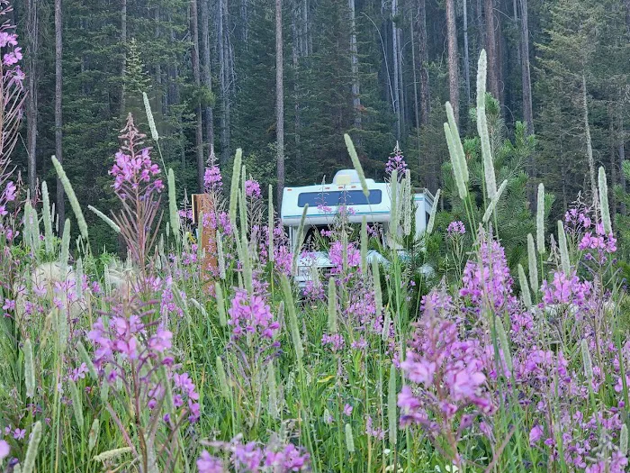 Mike Harris Campground Picture 9