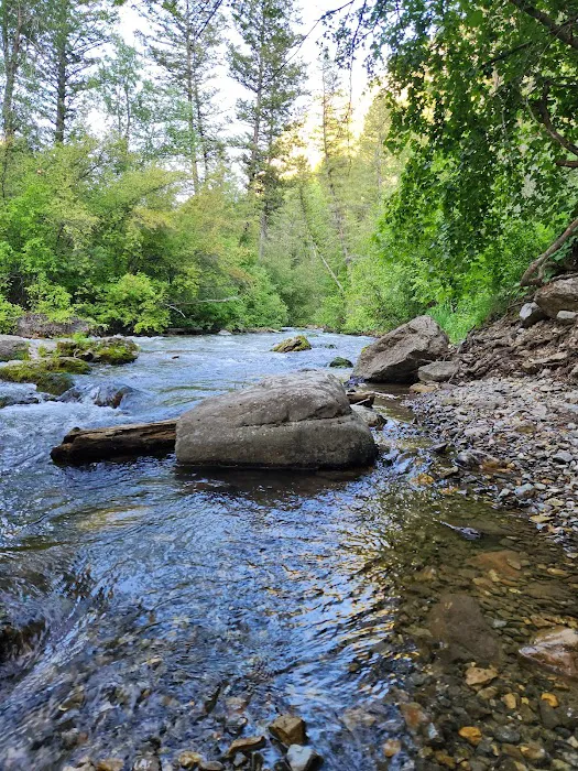 Palisades Creek Campground Picture 7