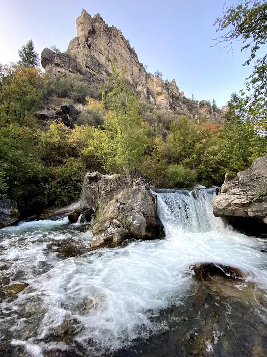 Palisades Creek Campground Picture 5