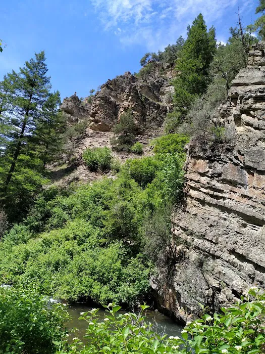 Palisades Creek Campground Picture 6