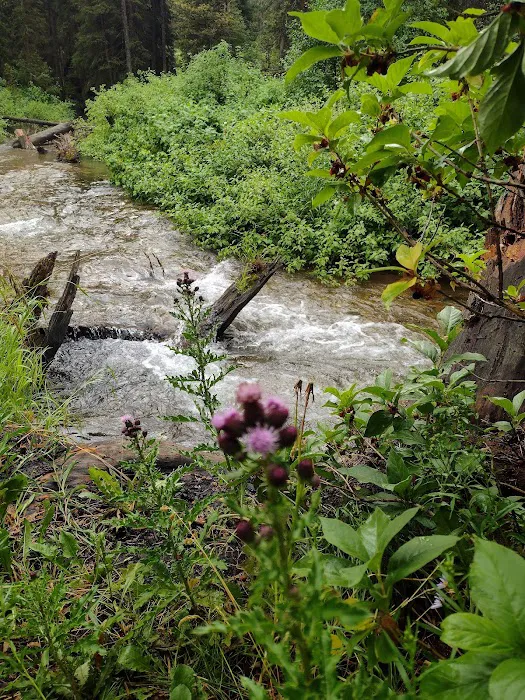 Trail Creek Campground Picture 4