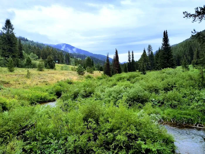 Trail Creek Campground Picture 2