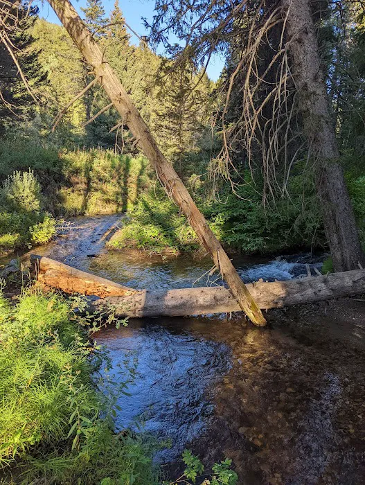 Trail Creek Campground Picture 8