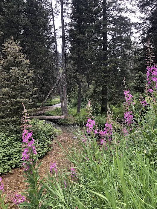 Trail Creek Campground Picture 6