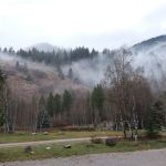 Big Elk Group Campground