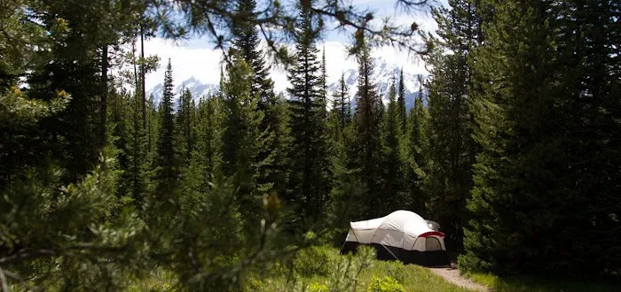 Colter Bay Campground Picture 4