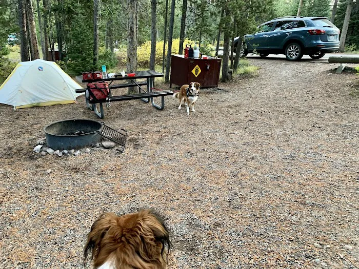 Colter Bay Campground Picture 10