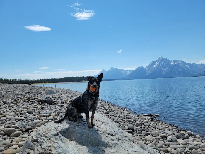 Colter Bay Campground Picture 7