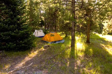 Colter Bay Campground Picture 8