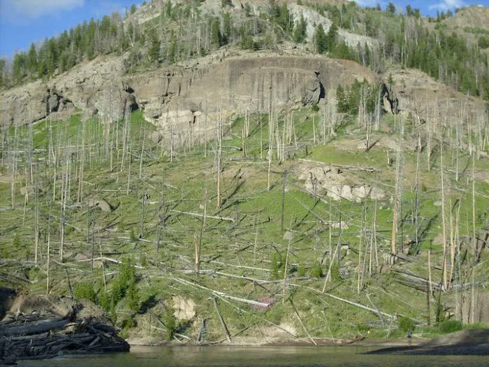 Upper Ford 6B2 Picture 3