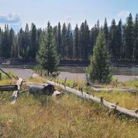 Yellowstone Meadows 6Y7 ico