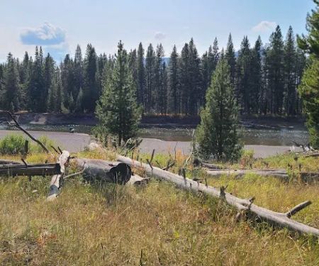 Yellowstone Meadows 6Y7