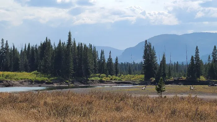 Yellowstone Meadows 6Y7 Picture 2