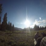 Mountain Creek Ford 6D2