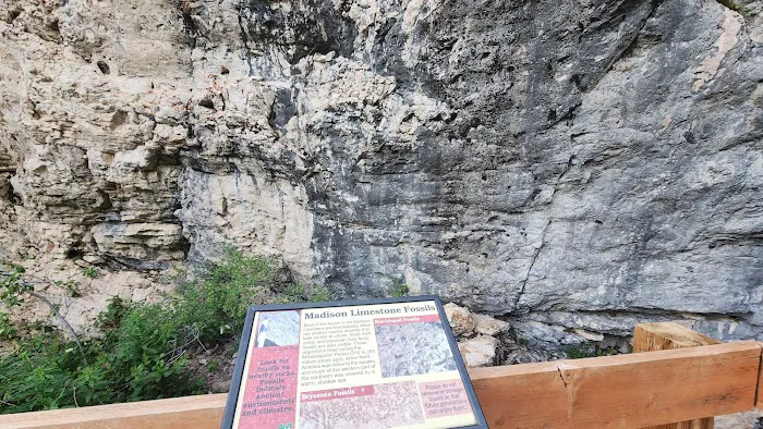 Big Ice Cave Campground Picture 1