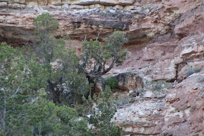 Barrys Landing Campground Picture 5
