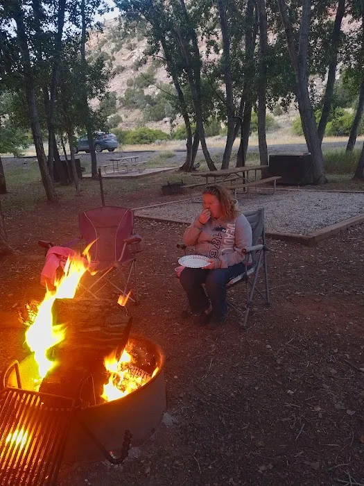 Barrys Landing Campground Picture 10