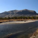 North Thorofare 6T2
