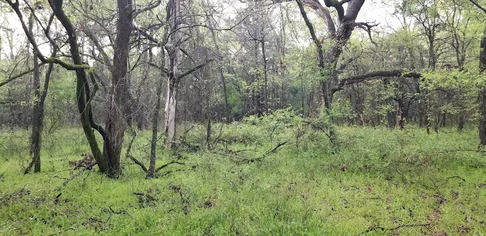 Liberty Grove Campground Picture 8