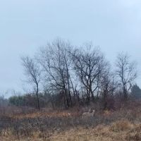 Liberty Grove CampGround ico