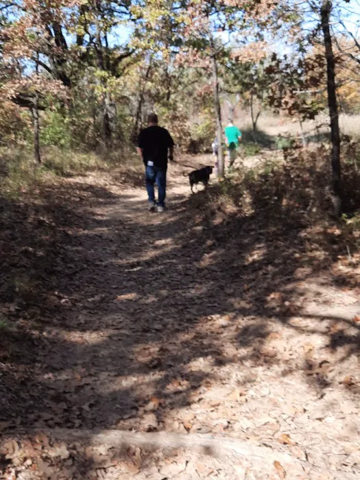 Buggy Whip Equestrian Campground Picture 2