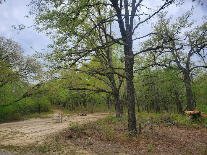 Buggy Whip Equestrian Campground Picture 9