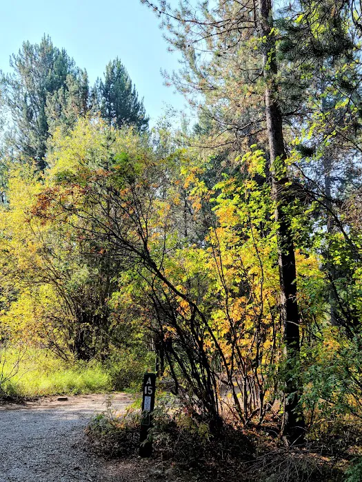 Alpine North Loop Campground Picture 6